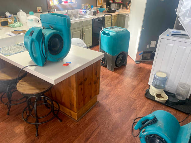 Best Water damage cleanup near me  in Lakeview, CA