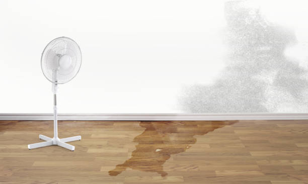 Best Carpet water damage restoration  in Lakeview, CA