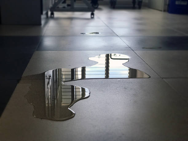 Best Water damage repair service  in Lakeview, CA
