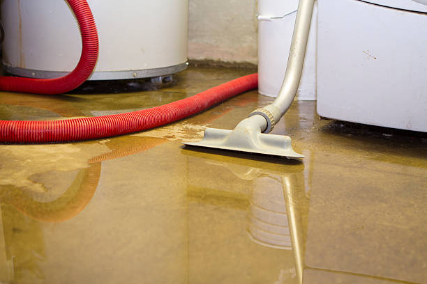 Best Mold removal after water damage  in Lakeview, CA
