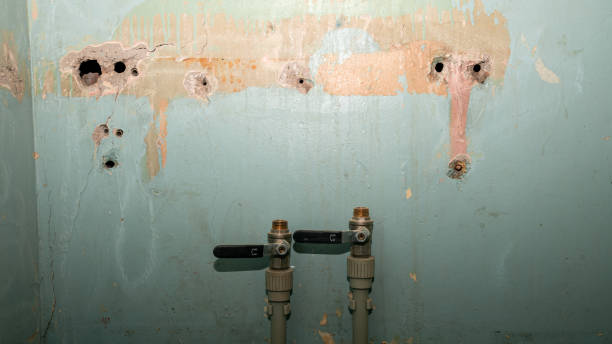  Lakeview, CA Water damage restoration Pros