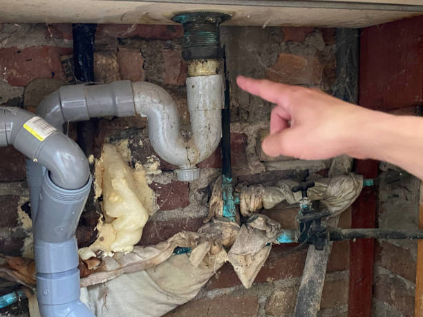 Best Water damage restoration insurance claims  in Lakeview, CA