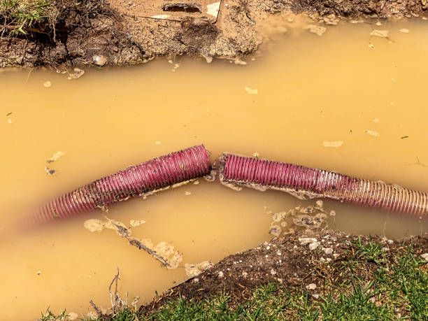 Best Water damage restoration near me  in Lakeview, CA