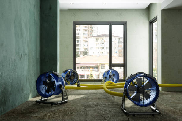 Best Basement water damage restoration  in Lakeview, CA
